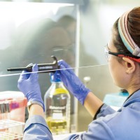 San José State University logo