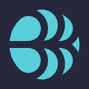 Bruinen Technologies Incorporated logo