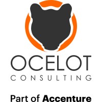 Ocelot Consulting logo