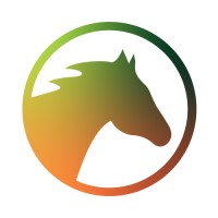Dark Horse Consulting Group logo