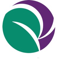 Palladin Technologies logo