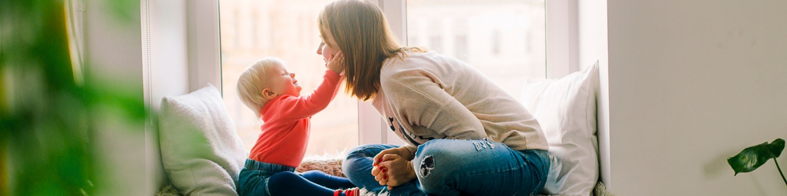 Network Capital logo