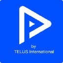 Playment logo