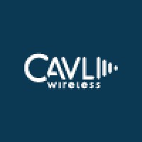 Cavli Wireless logo