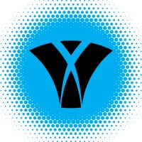 VI Marketing and Branding logo