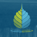 Sanitation and Health Rights in India (SHRI) logo