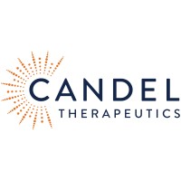 Dice Therapeutics logo